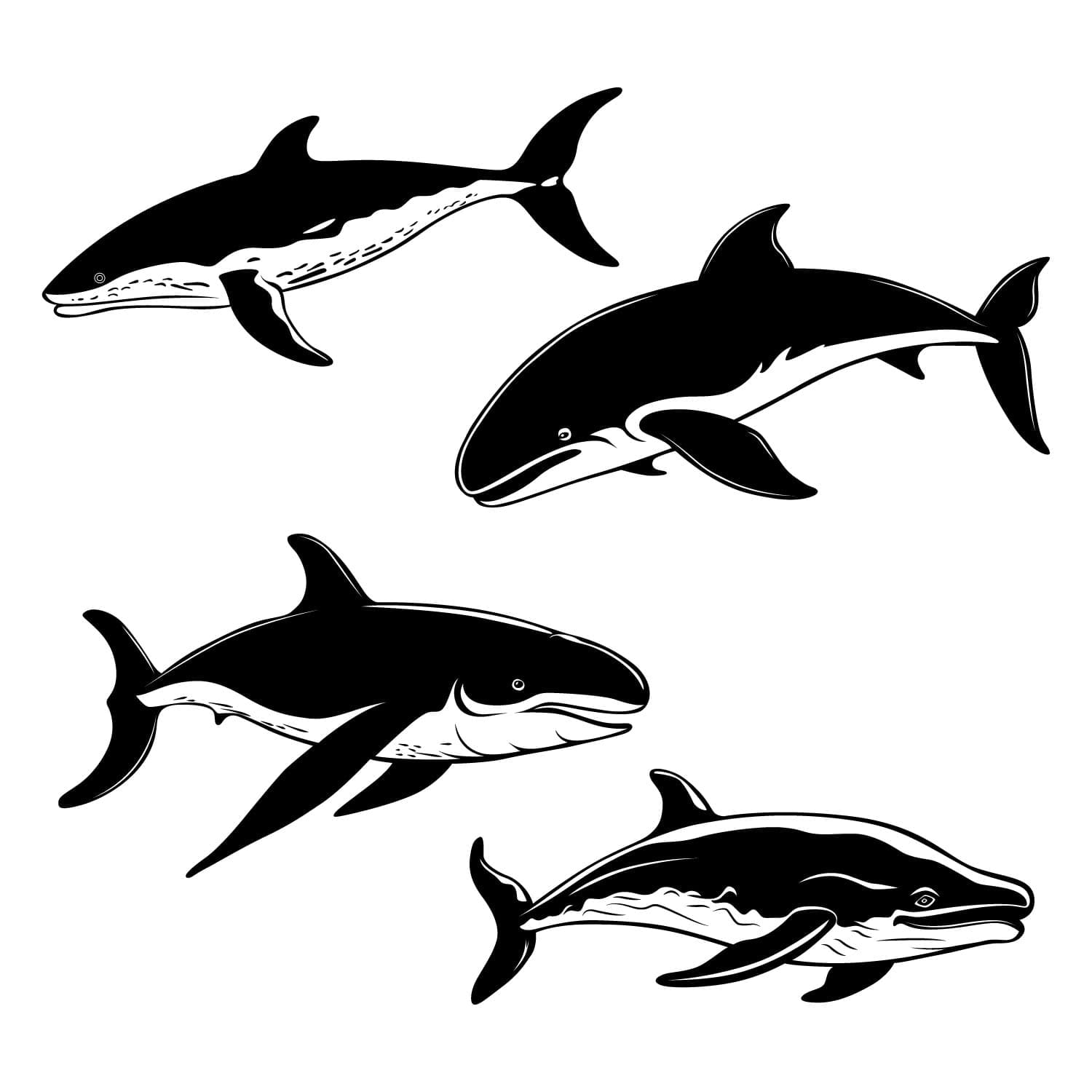 Set of Whales Silhouette - Vector Art